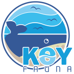 Portal Koy-fauna